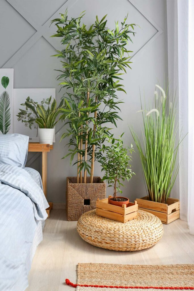 Zimmerpflanzen stehen im Schlafzimmer