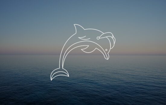Illustration Delfin mit Schlafmütze vor Meer